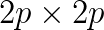 2p\times 2p