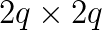 2q\times 2q
