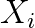 X_i